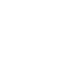 Taj logo footer